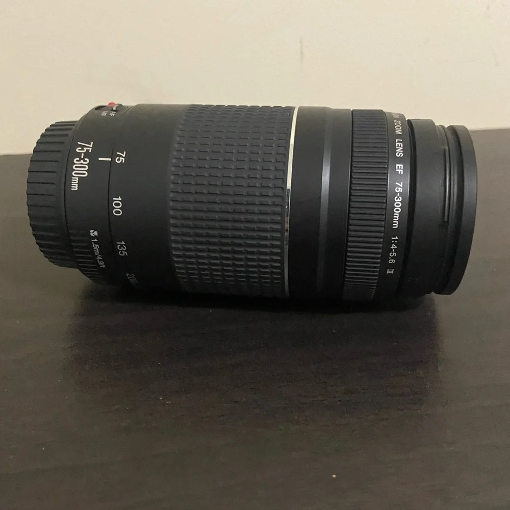 Canon Rebel EOS T6